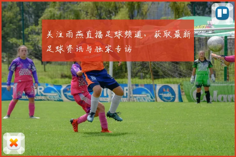关注雨燕直播足球频道，获取最新足球资讯与独家专访